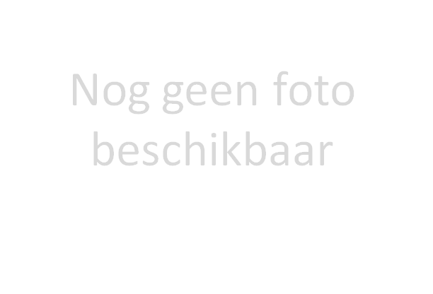 SWS De Fierljepper